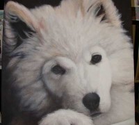 Einen Hund malen mit Acrylfarben Demonstration – Fell malen Anleitung 2