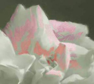 Wie malt man eine Rose?  -Altmeisterlich mit Untermalung  Anleitungvon Alexei Antonov