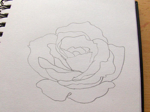 So zeichne ich eine Rose  - Monika Kunze
