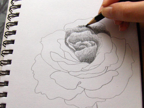 So zeichne ich eine Rose  - Monika Kunze