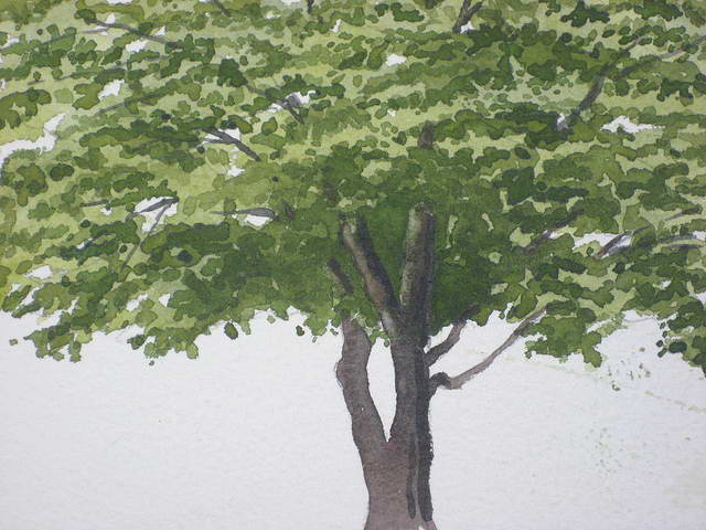 Einen Baum malen mit Aquarellfarben - John Fisher