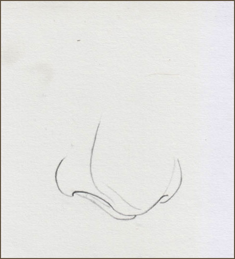 Eine Nase zeichnen mit Bleistift -Wie zeichnet man eine Nase- Anleitung -David Te