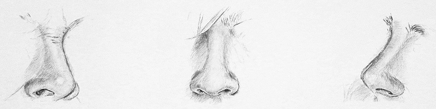 Gesichter zeichnen lernen -Details Nase Mund Augen Ohren - Claudia Sottner