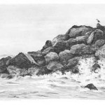 Wasser, Seen ,Wellen und das Meer zeichnen - Anleitung – Diane Wright
