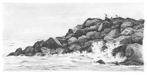 Wasser, Seen ,Wellen und das Meer zeichnen - Anleitung – Diane Wright