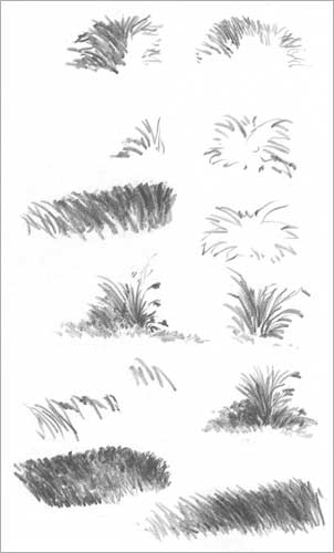 Gras ,Gräser Büsche mit Bleistift Zeichnen –Anleitung- Diane Wright 