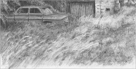 Gras ,Gräser Büsche mit Bleistift Zeichnen –Anleitung- Diane Wright