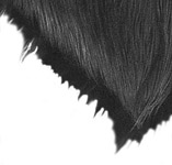 Haare oder Fell zeichnen – Eine Einführung – Anleitung von Mike Sibley