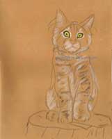 Wie zeichnet man eine Katze?  Pastellkreide Anleitung Schritt für Schritt – Karen Hargett