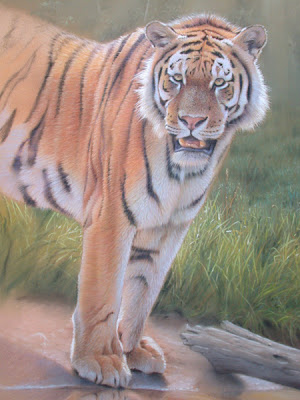 Ein Tiger am Wasser, Tiere zeichnen, Pastellzeichnung - Eric Wilson