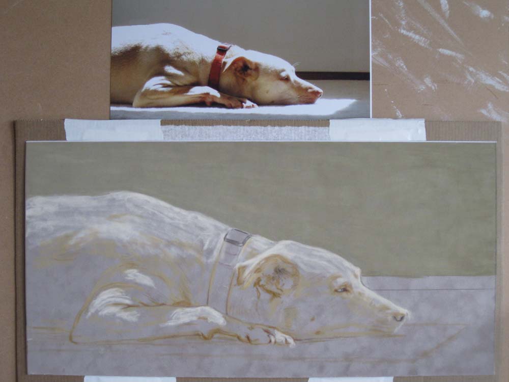 Einen Hund zeichnen mit Pastellkreide Tiere zeichnen –  Anleitung von Kari Tirrell