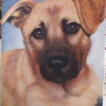 Tiere malen, Hunde malen, Fell mit Acrylfarben malen –Leslie Anne Pease